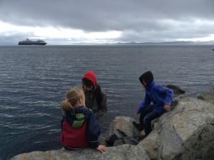 Honnigvag bij de Noordelijke IJszee