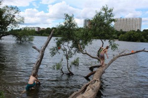 Zwemmen in Stockholm