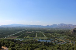 Het lijken wel rijstvelden.